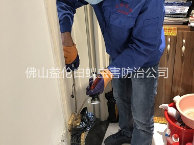 鹽步上門(mén)防治白蟻工程