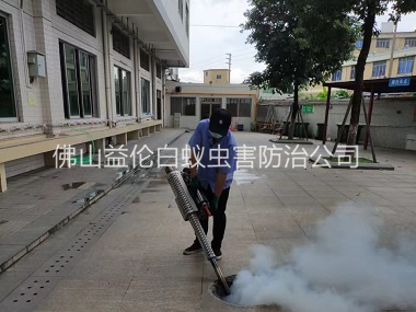 鹽步社區(qū)下水道滅蚊蟲(chóng)工程